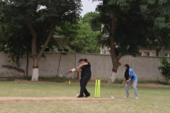 CRICKET-4