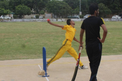 CRICKET1