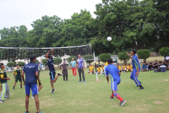 VOLLEYBALL-4
